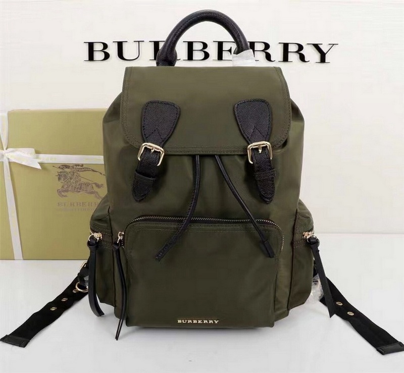 Burberry Handbags 41